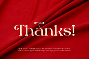 Etyelfy - Luxury Elegant Font, a Serif Font by QR Design Studio (Thumbnail 14 of 14)