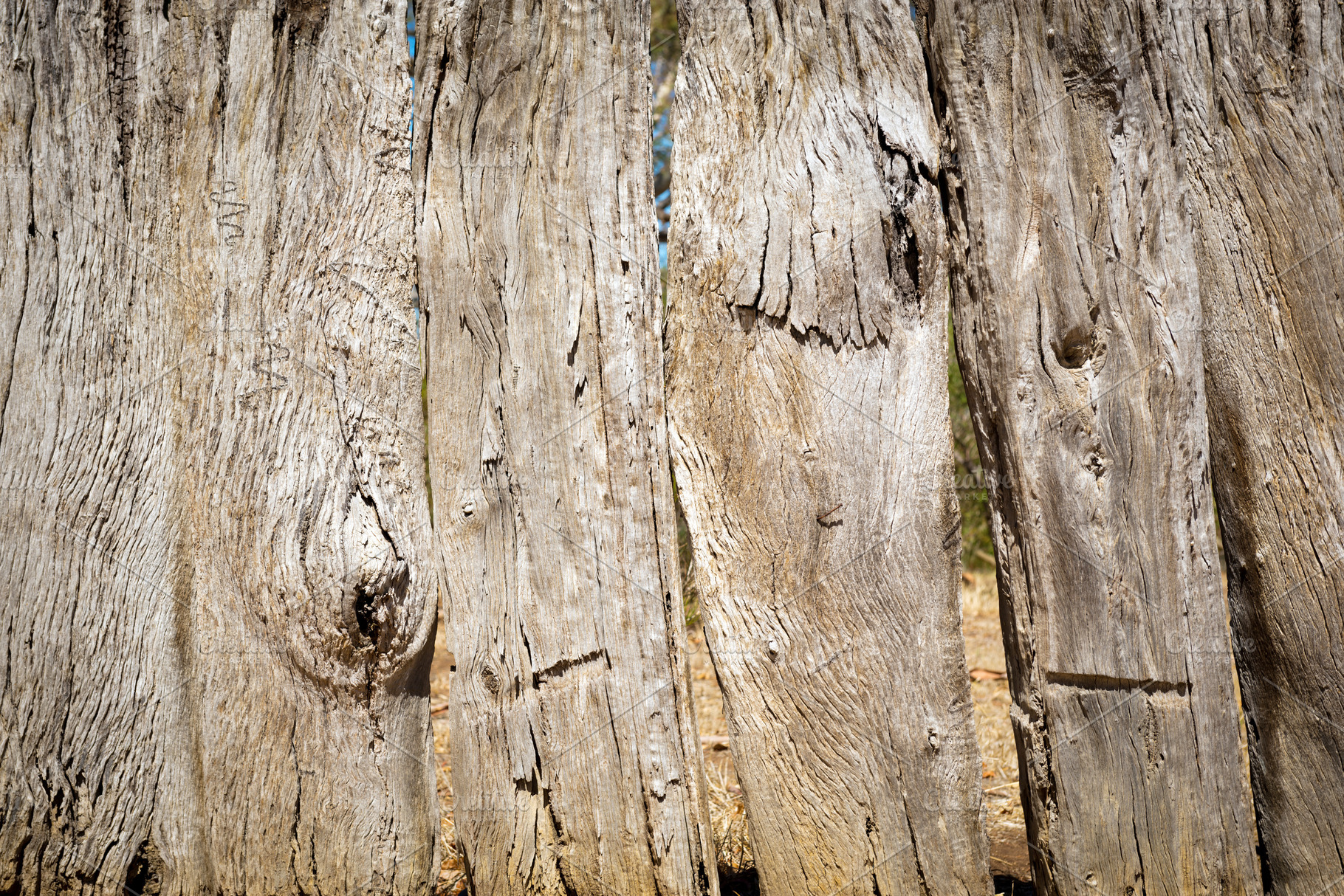 Old Wooden Fence, a Background Photo by THP Creative