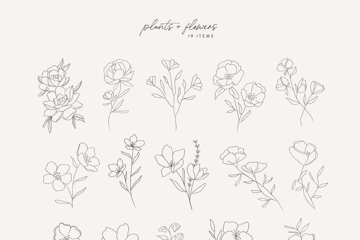 Hand Drawn Botanical Logo & Branding, a Texture Illustration by FEM Creative Studio (Photo 4 of 7)