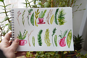 Christmas Herbal watercolor set, a Decorative Illustration by Olesya Morokhovets (Thumbnail 4 of 7)