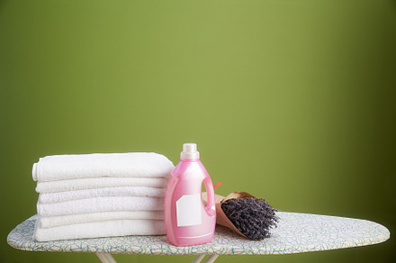 Fresh laundry serenity with lavender, a Photo by Alliance Images