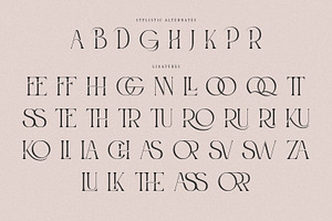 Roashe-Serif Font Family Updated