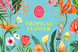 Tropical Summer Flowers