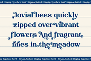 Szysa Jasteri Display Typeface Serif, a Serif Font by Denustudios (Thumbnail 6 of 12)