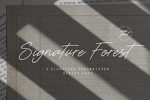 Signature Forest - Script Font