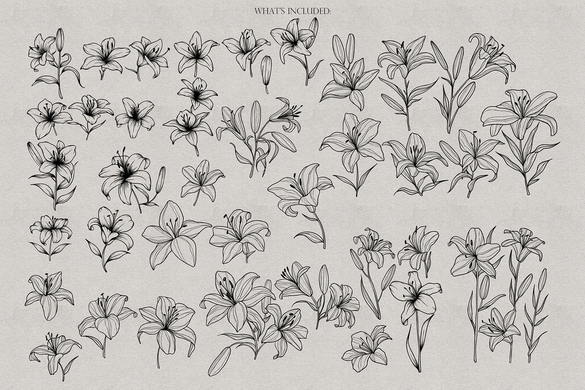 Lilies Stamps Procreate Bundle, a Brush Add-On by Dervik Art Store (Photo 3 of 6)