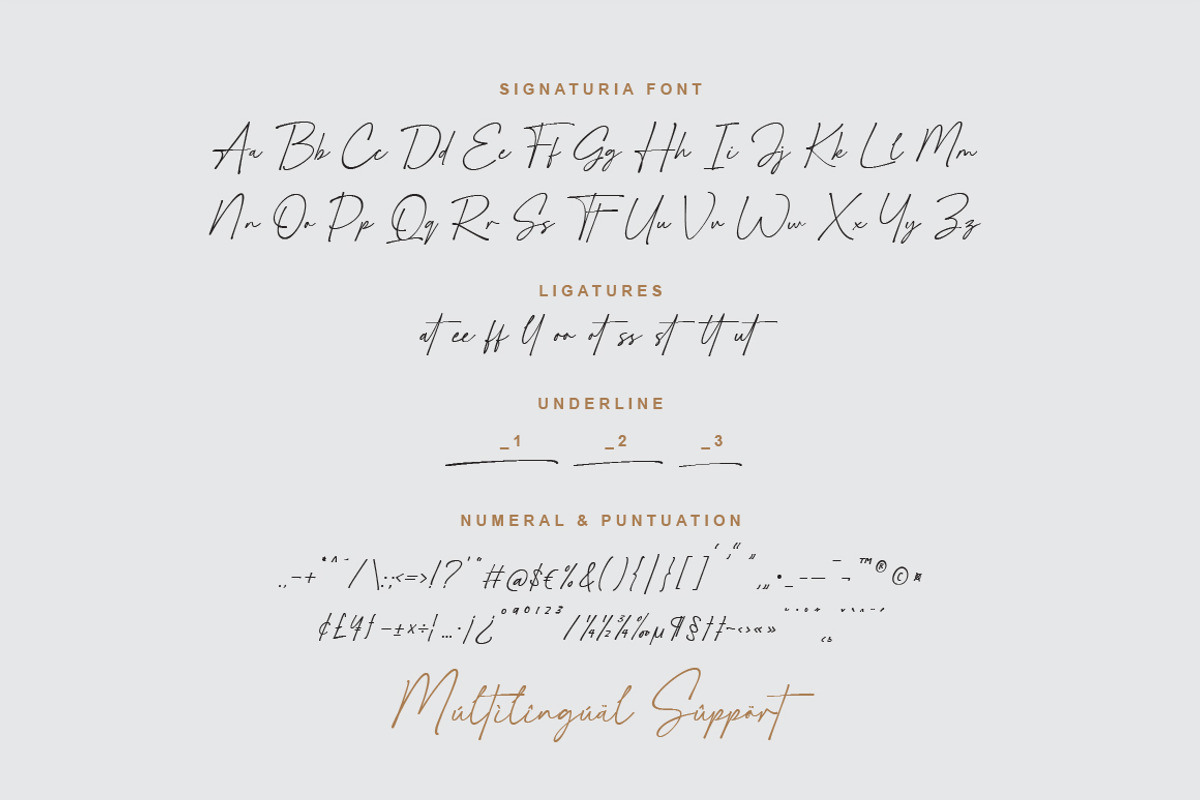 Signaturia - Handwritten Signature, a Script Font by Typebae (Photo 10 of 10)