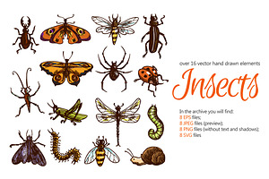 Insects Sketch Set