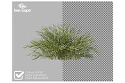 60 Grass Photo Overlays, a Nature Photo by KenScape (Thumbnail 2 of 3)
