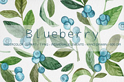 Watercolor Blueberry Clipart, an Illustration by MilanaDesignShop (Thumbnail 1 of 4)
