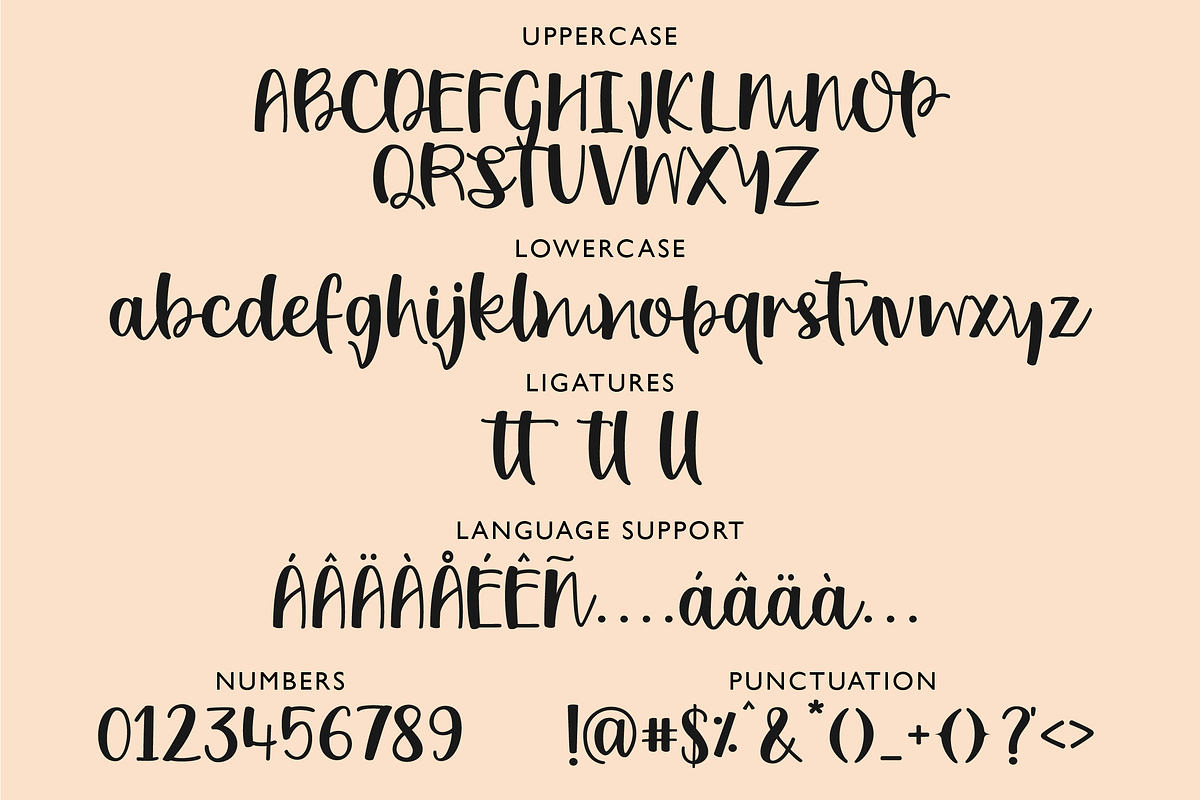 Ombre Blush Script Font, a Script Font by theinkaffair (Photo 8 of 8)