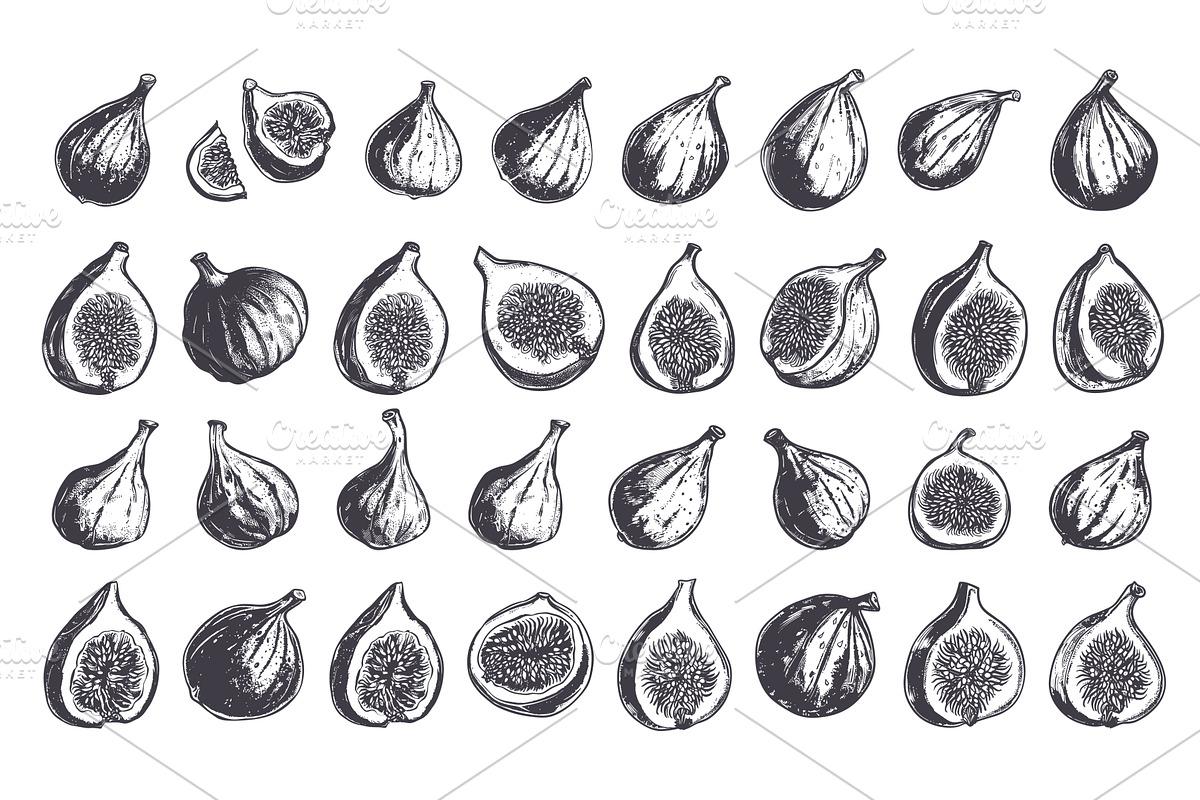 Fresh Figs Icons Set Doodle Style, a Food Illustration by LadadikArt