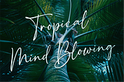 Girl Boss -Sophisticated Calligraphy, a Script Font by 50Fox (Thumbnail 6 of 16)