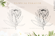 Tropical paradise. Line art set, an Illustration by Pamyatka Shop (Thumbnail 4 of 13)