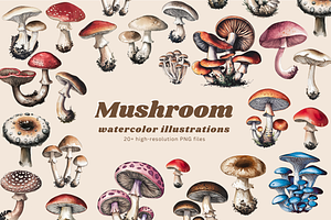 Mushroom Watercolor Illustrations