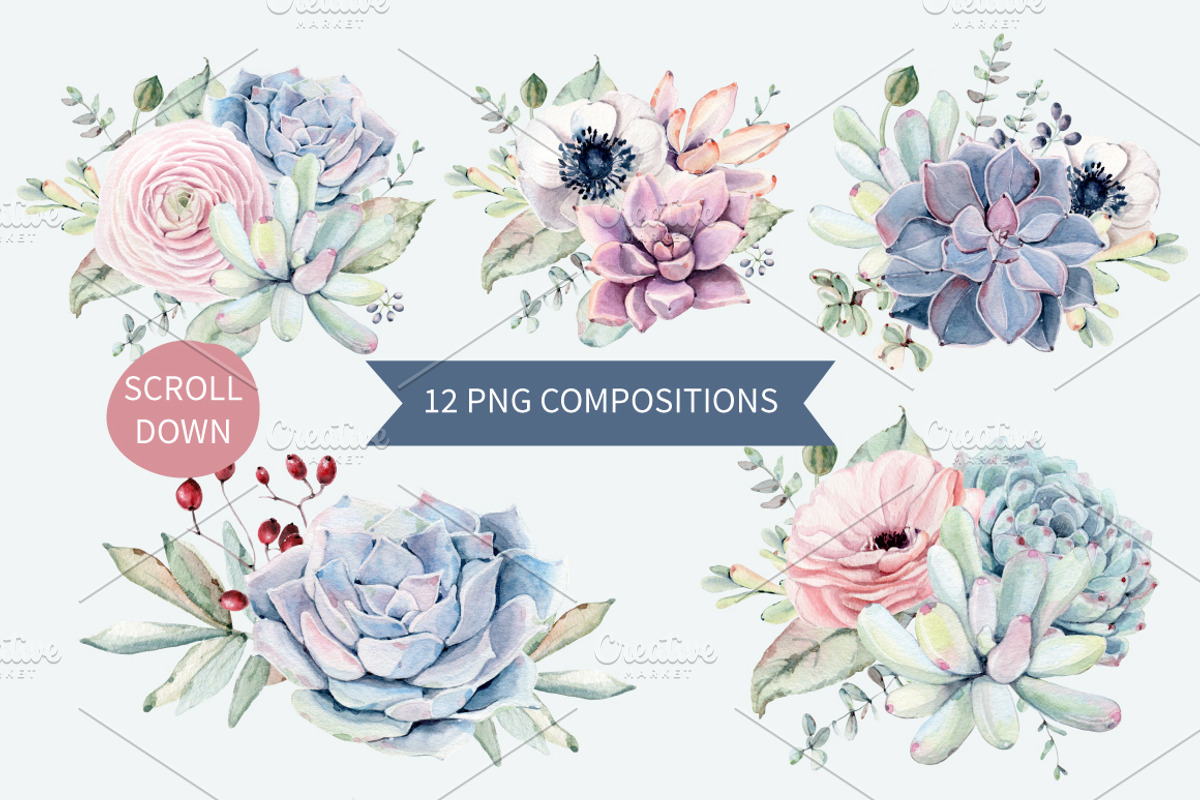 Oh my Succulents watercolor set, an Illustration by Lemaris (Photo 2 of 9)