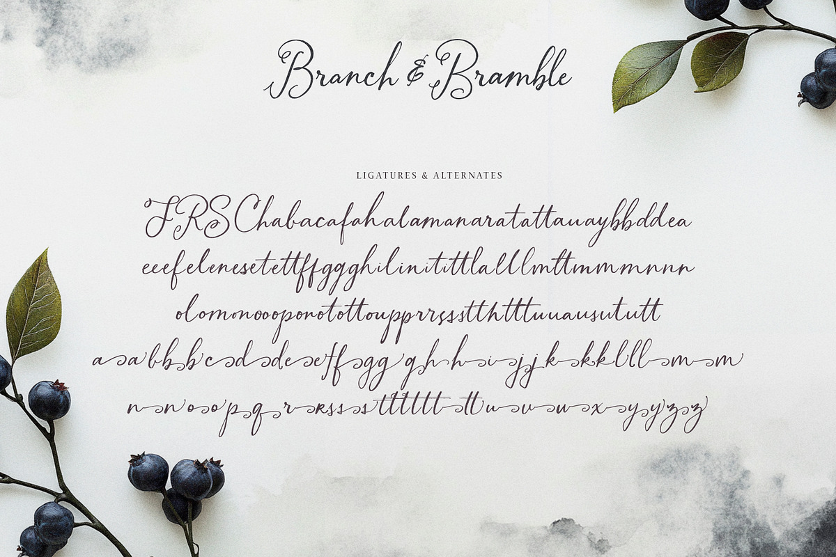 Branch & Bramble Calligraphy Font, a Script Font by Callie Rian & Co. (Photo 14 of 17)