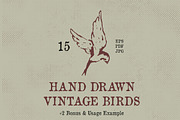 Hand Drawn Vintage Birds, an Object Graphic by danielcomerci (Thumbnail 1 of 3)