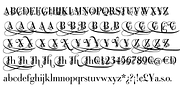 Bodoni Classic Fleurs, a Serif Font by Wiescher-Design (Thumbnail 7 of 7)