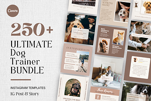 Dog Training Instagram Templates