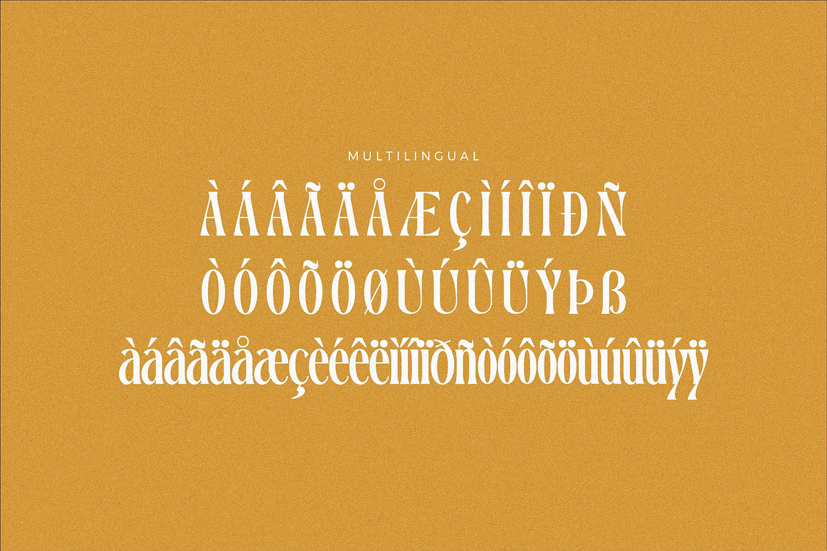 Dreavolt A Serif Display Font, a Serif Font by Storytype Studio (Photo 14 of 15)