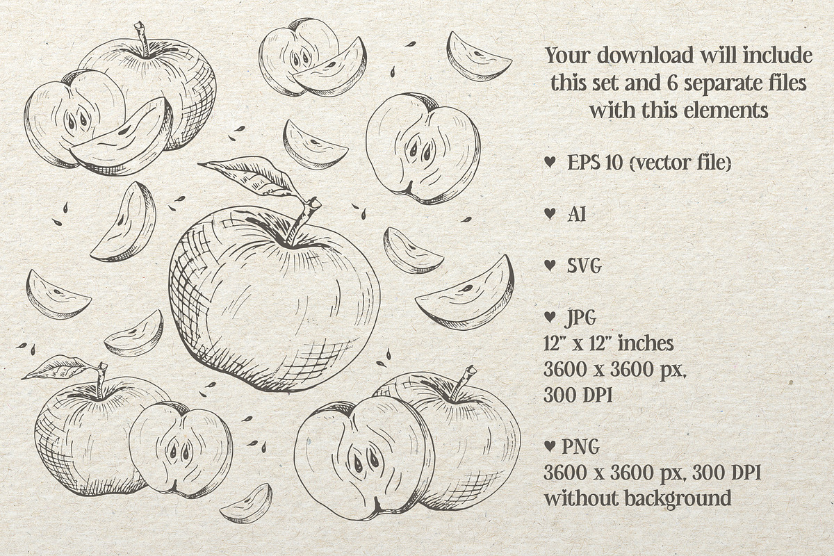 Apples. Sketches and patterns, an Illustration by Canatic (Photo 2 of 17)