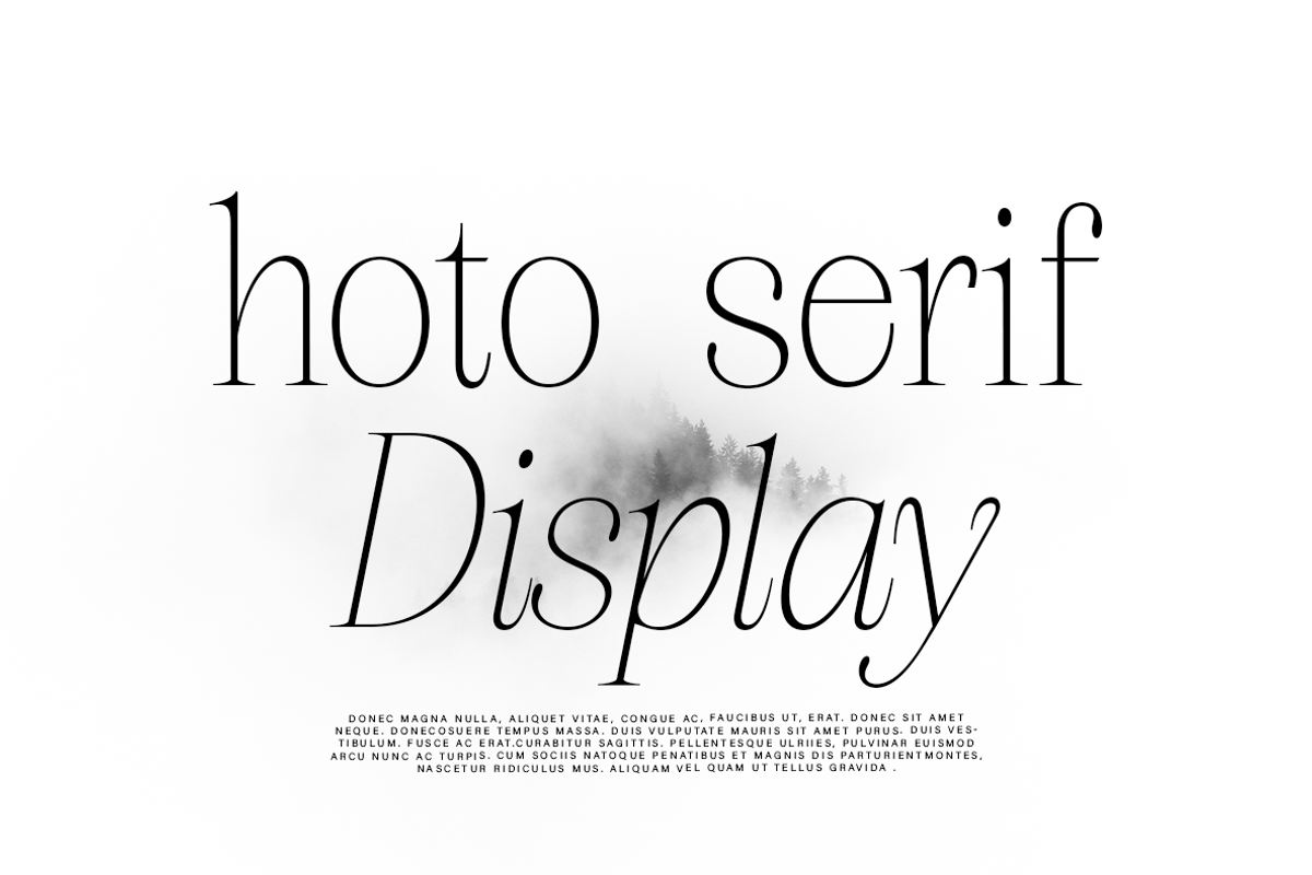 hoto serif display, a Serif Font by InkwellTypeCo (Photo 1 of 9)