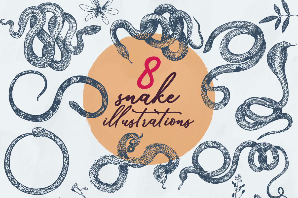 Botany and Snakes, an Object Graphic by Freezerondigital (Photo 8 of 16)