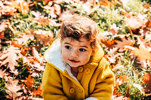 Happy little girl play autumn leaves, a Person Photo by hitdelight