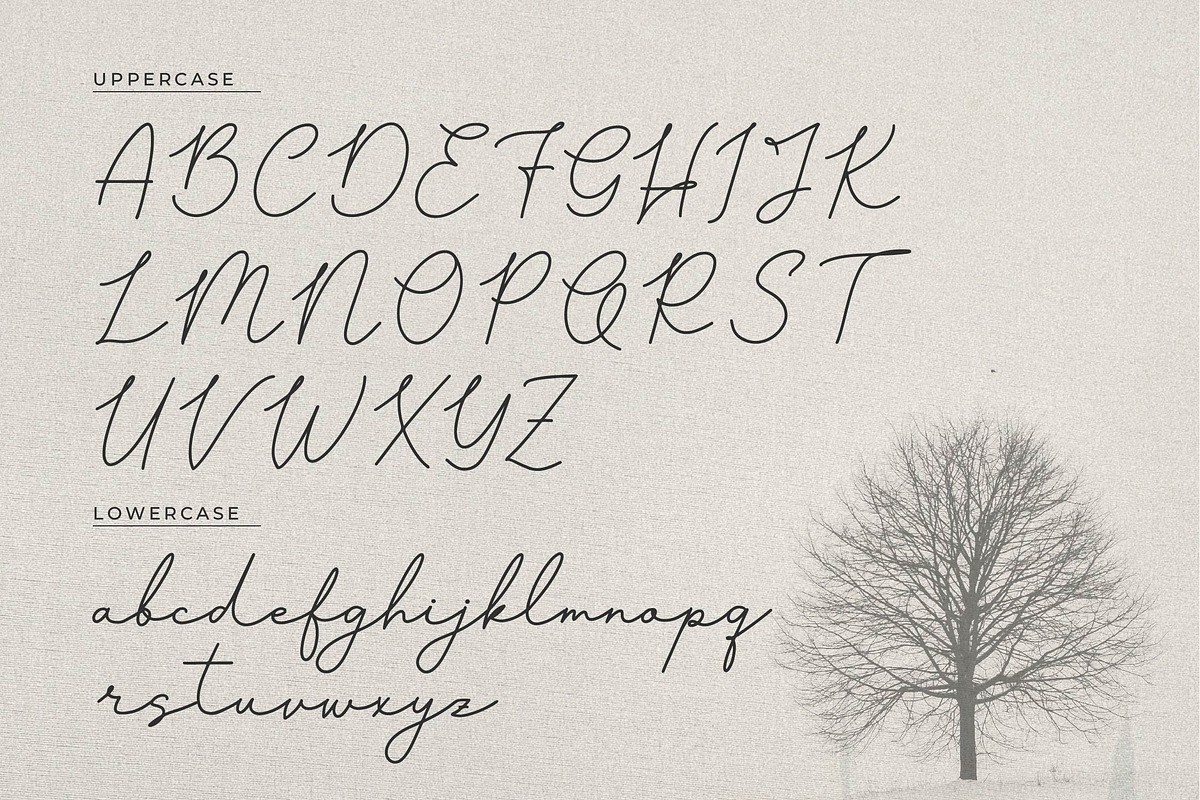 Pasttemy | Monoline Stylish Script, a Script Font by Denustudios (Photo 11 of 15)