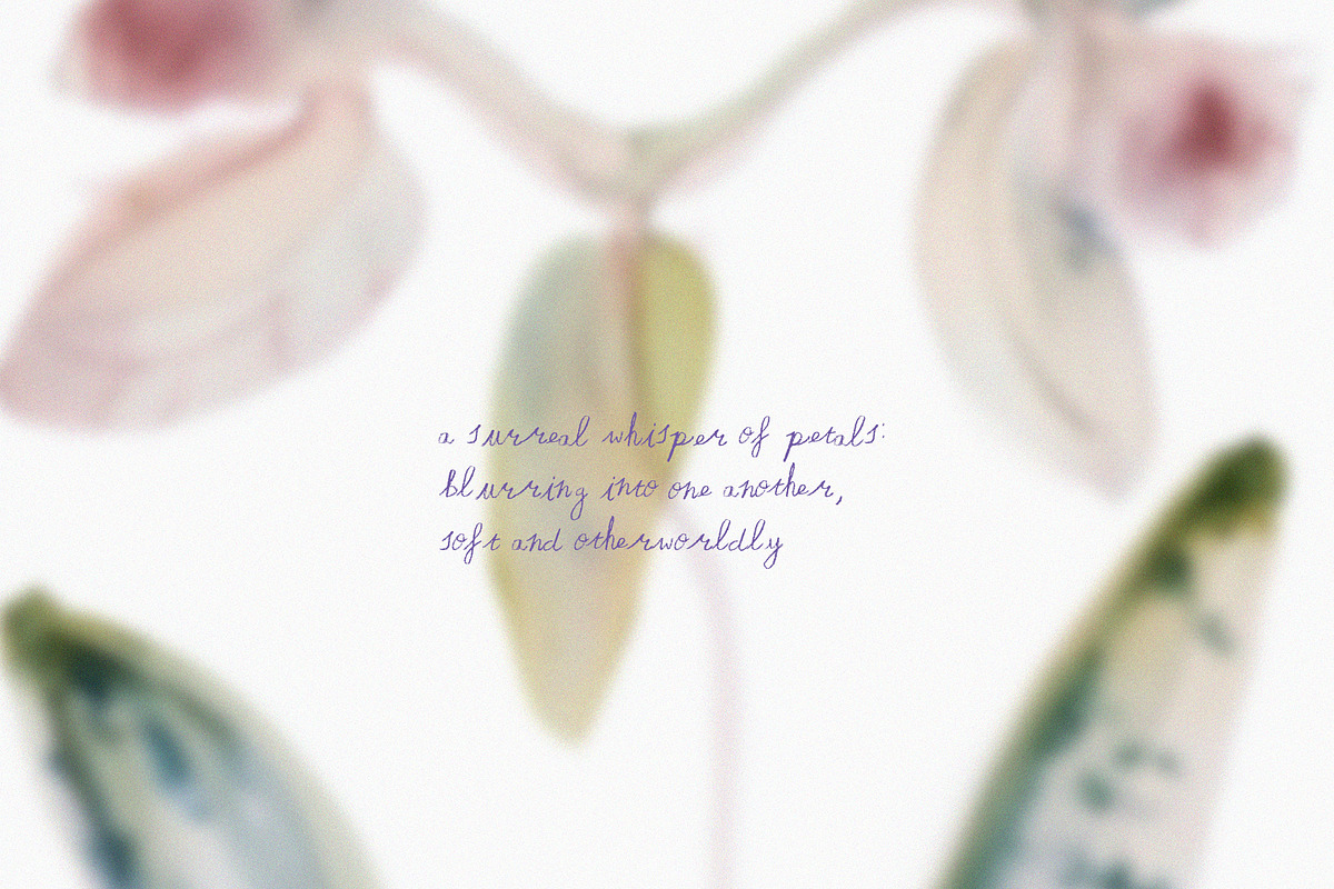 Abstract Blurry Botanical Bundle, a Background Graphic by Lana Elanor (Photo 9 of 20)