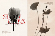 Shadow Blooms, an Object Graphic by Dina Mae (Thumbnail 2 of 10)