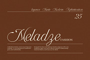 Amerys Wedding Script Font, a Script Font by Elegant Font (Thumbnail 2 of 9)