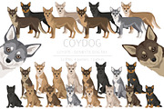 Coydog. Coyote - Domestic dog mix, an Animal Illustration by pet design shop (Thumbnail 1 of 6)