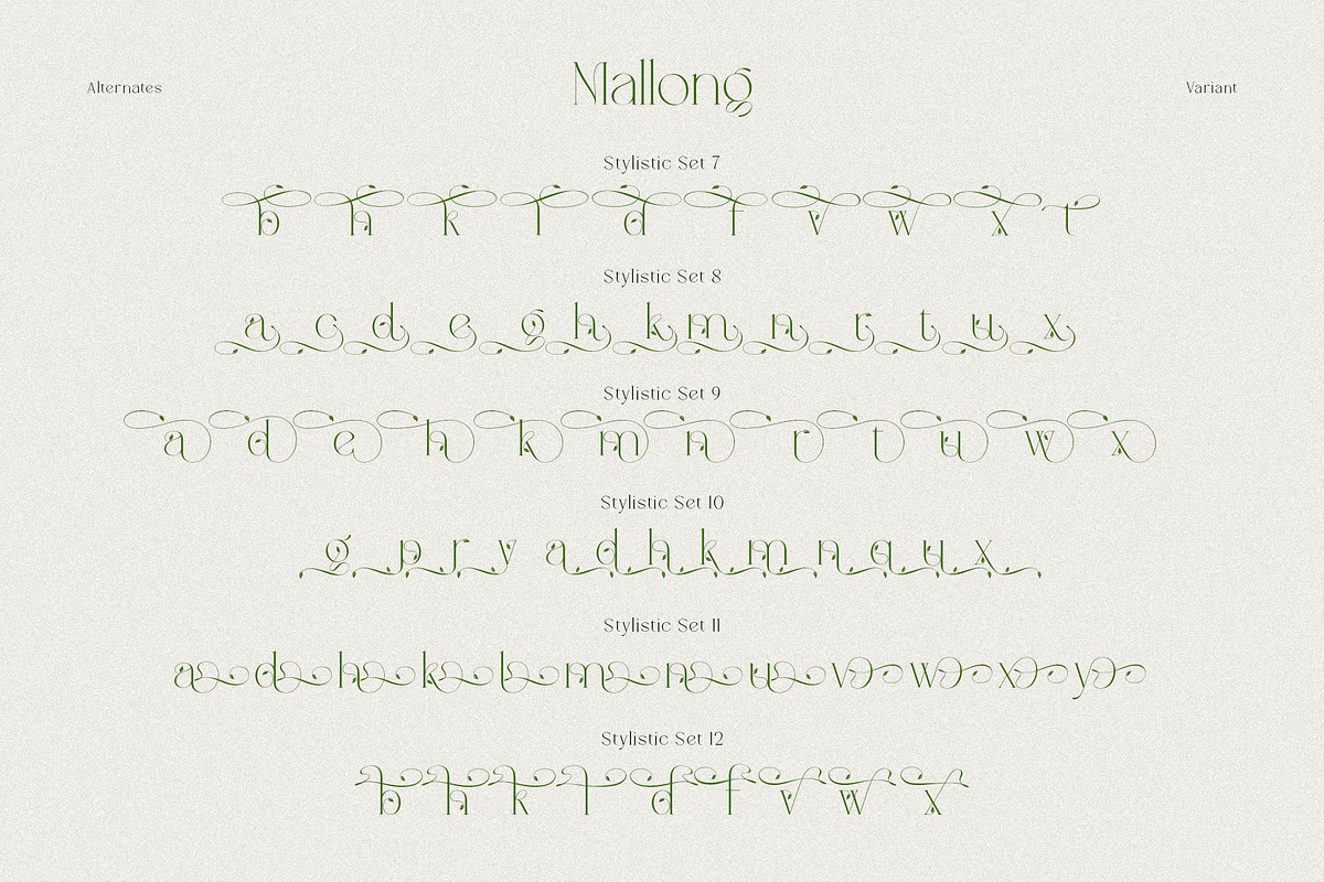 Mallong Typeface, a Serif Font by alit design (Photo 13 of 17)