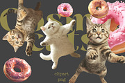 Cosmic Cats, an Object Graphic by TheCuteShop (Thumbnail 2 of 5)