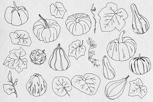 Hand Drawn Pumpkins Stamp Brushes