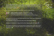 60 Photoshop Foliage & Grass brushes, a Brush Add-On by Eldar Zakirov's (Thumbnail 2 of 8)
