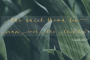 Garnita Script, a Script Font by ALIVECREATIVE (Thumbnail 5 of 5)