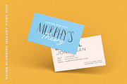 Bluebird Melody - Organic Font Duo, a Handwritten Font by Letterhend Studio (Thumbnail 2 of 9)