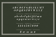 Kinlock - Elegant Stencil Serif, a Serif Font by Surplus Type Co (Thumbnail 5 of 7)