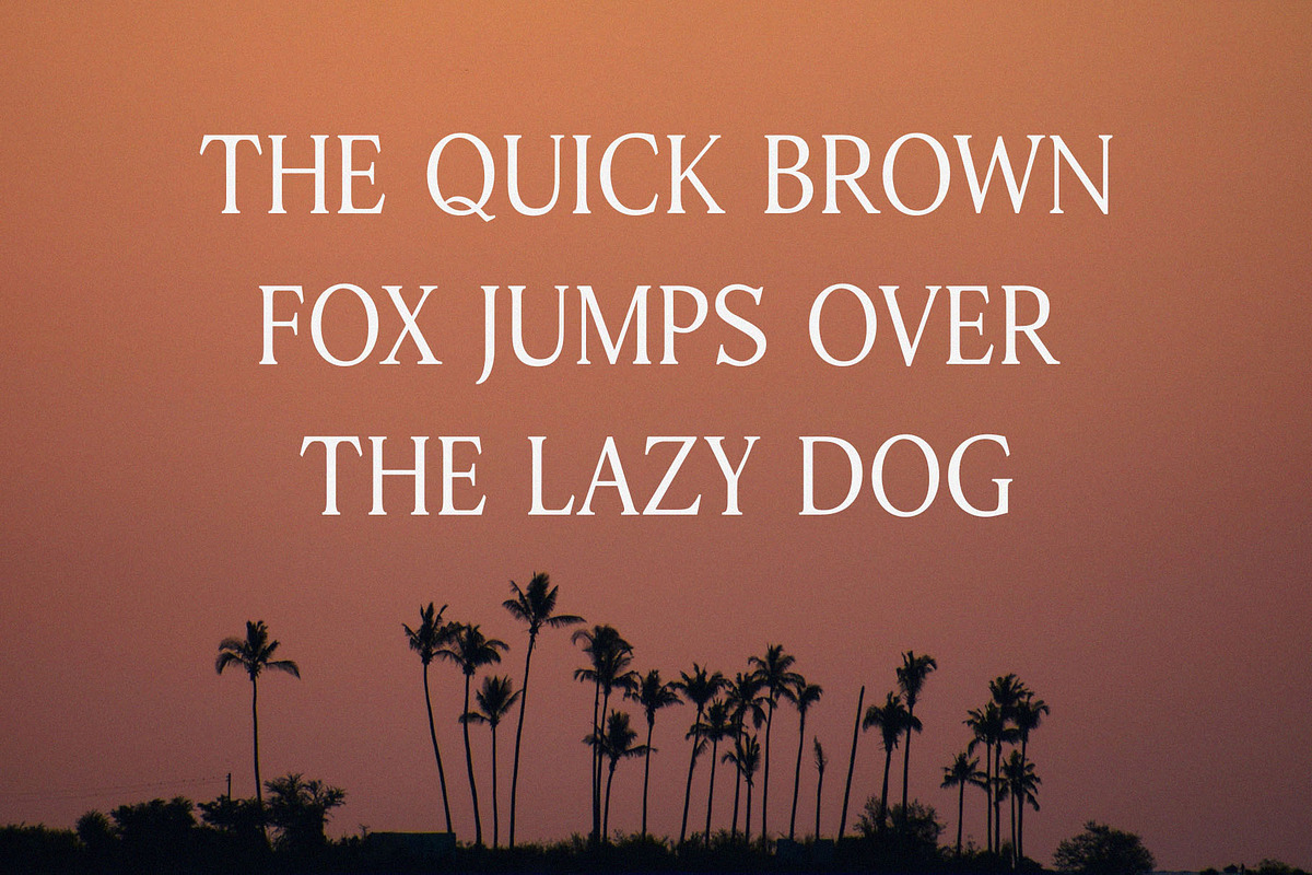 Savhero - Nostalgic Elegant Serif, a Serif Font by TypeLogue (Photo 2 of 5)