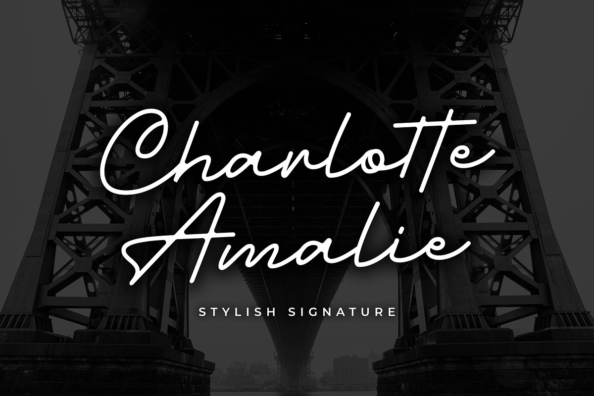 Charlotte Amalie - Stylish Signature, a Script Font by Almarkhatype (Photo 1 of 10)
