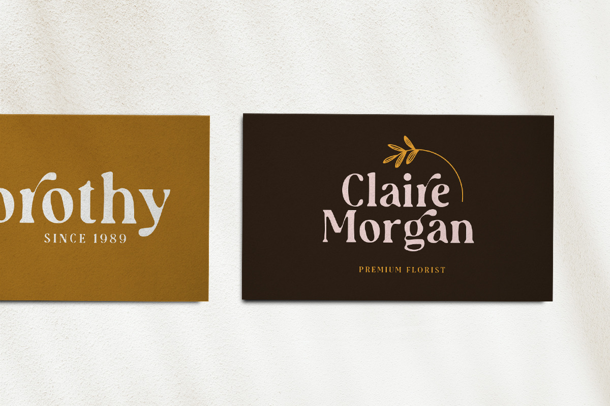 Audrey Mirages - Organic Serif preview 4