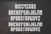 Deadhammer - Millitary Font, a Serif Font by Flawless And Co (Thumbnail 10 of 10)
