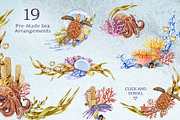 Sea Life Watercolor Clipart Set, an Animal Illustration by AnitaPol (Thumbnail 6 of 16)