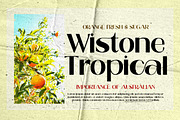 Rengita, a Sans Serif Font by Gatype (Thumbnail 5 of 10)