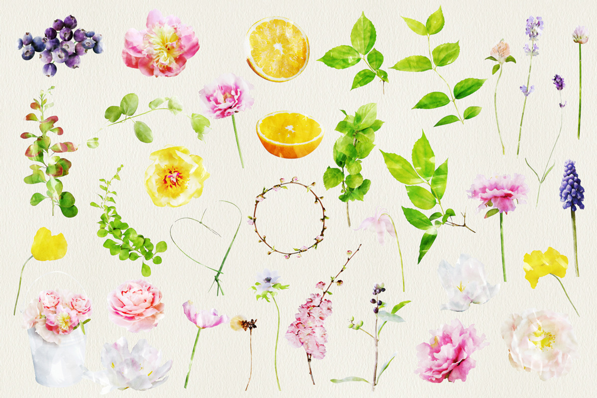 Watercolor Flowers, an Illustration by TheSeventhDesire (Photo 2 of 6)