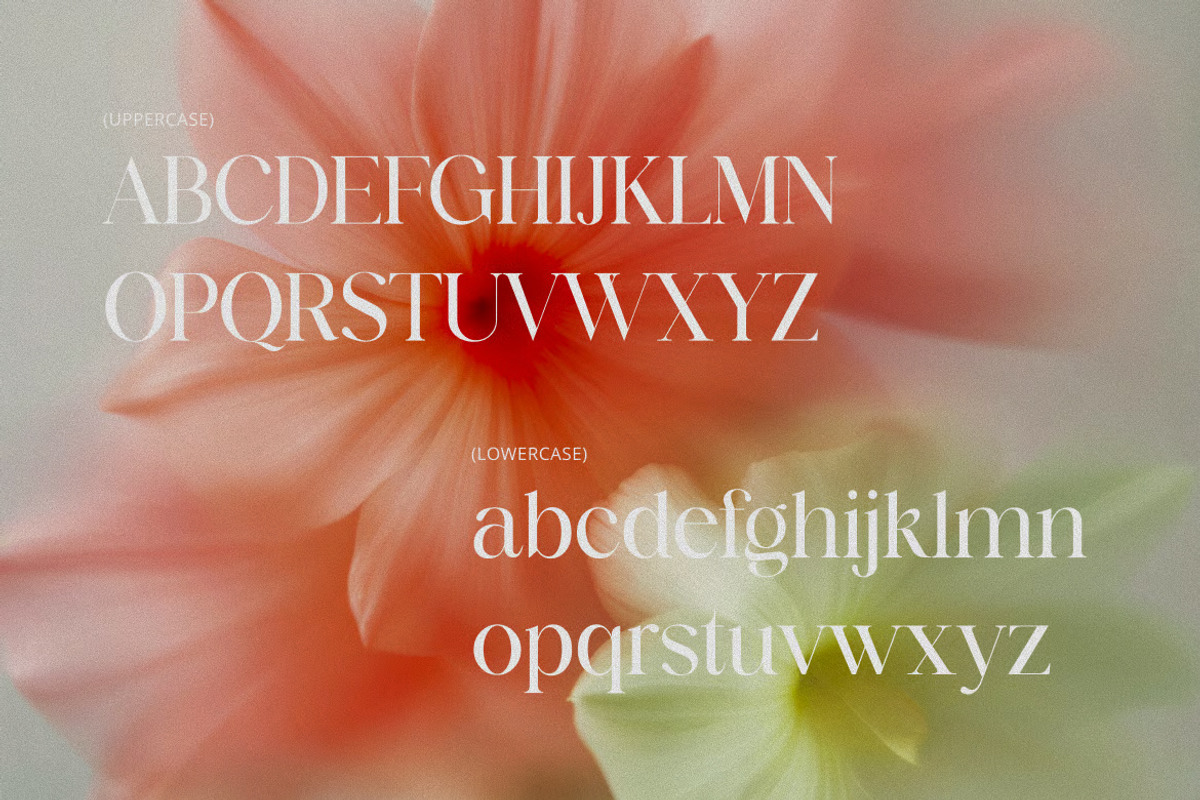 Barklie - A Nostalgic Serif Typeface, a Serif Font by Brand Earth (Photo 2 of 8)