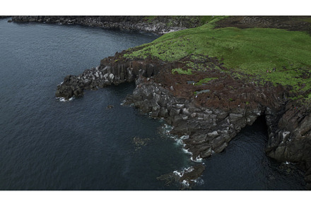 Beautiful stone cliff and green, a Nature Photo by Media Whale Stock